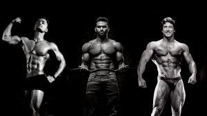 Leia mais sobre o artigo Diferentes biótipos: Ectomorfo, Mesoforma e Endomorfo