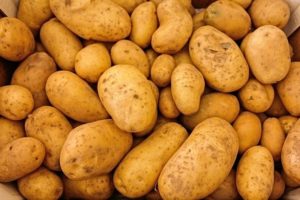 Leia mais sobre o artigo As batatas são saudáveis? Nutricionistas afirmam que elas podem te ajudar a perder peso